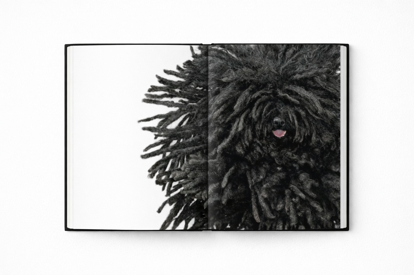 Dogs Book