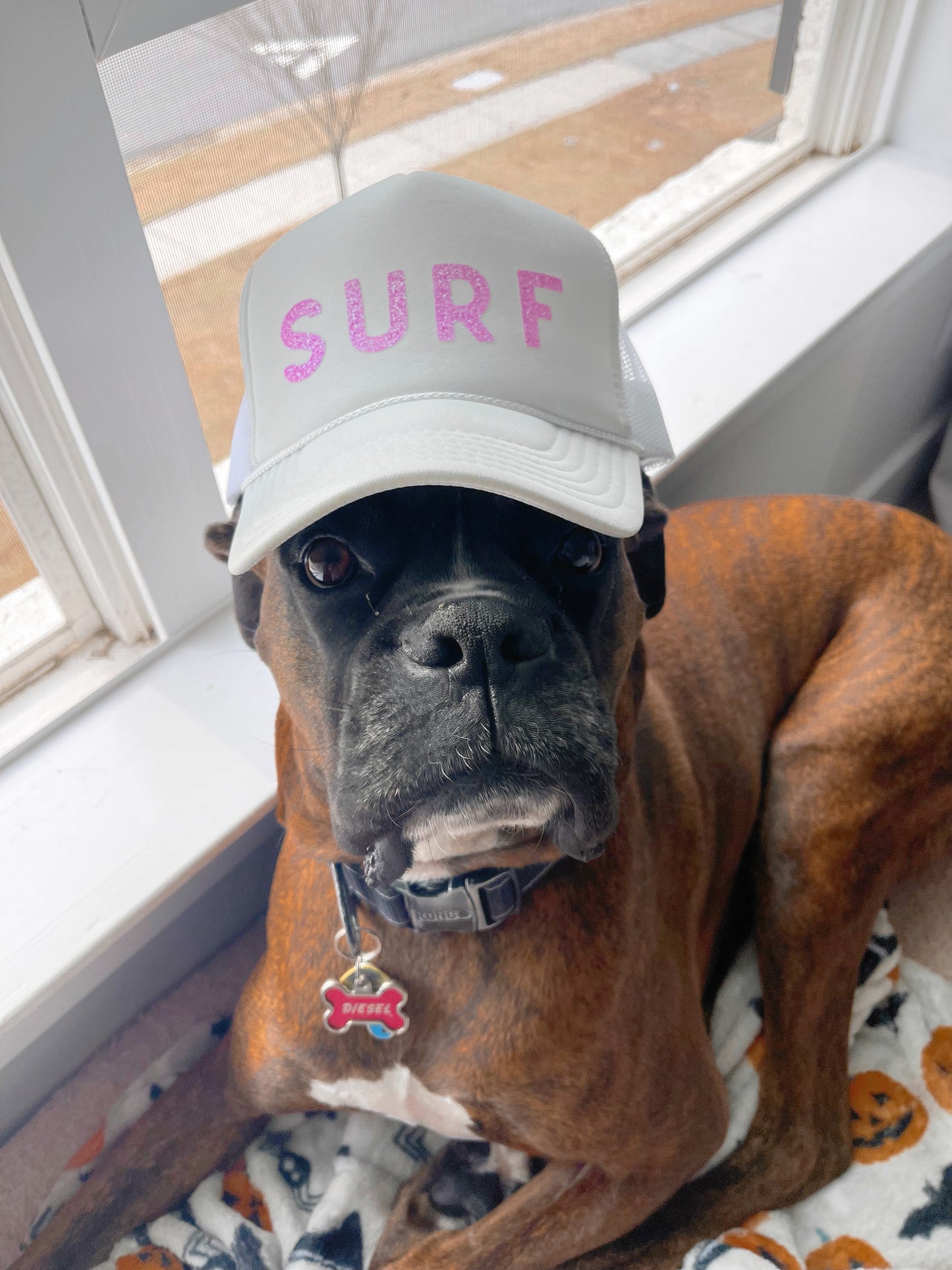 Surf Trucker Hat